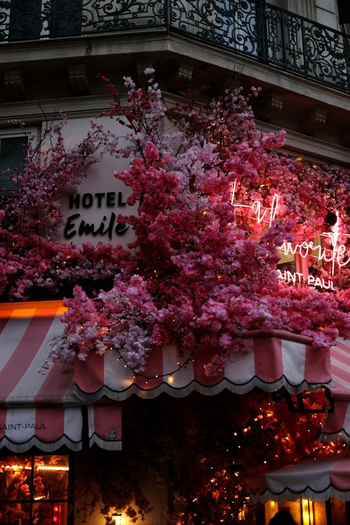 French Chic Active Since 2012 French Chic Active Since 2012