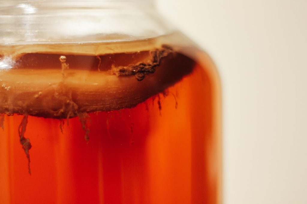 La kombucha, une boisson vivante et pétillante à tester La kombucha, une boisson vivante et pétillante à tester