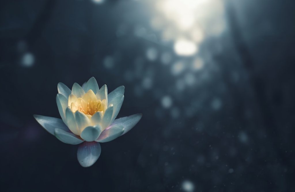 Nos podcasts de méditation préférés pour se relaxer Nos podcasts de méditation préférés pour se relaxer