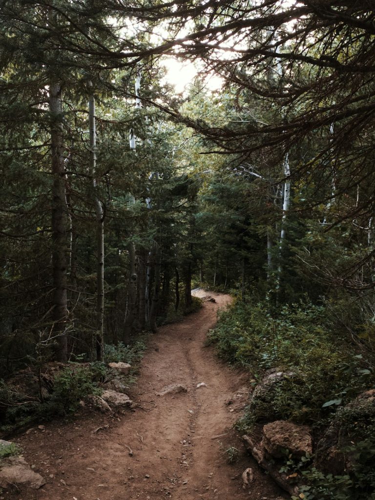 Notre sélection des plus beaux trails de France Notre sélection des plus beaux trails de France